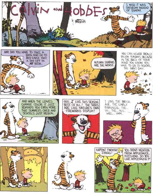 Calvin and Hobbes