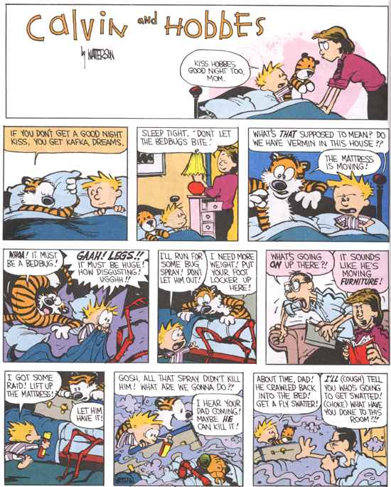 Calvin and Hobbes