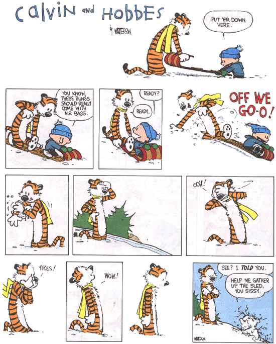 Calvin and Hobbes