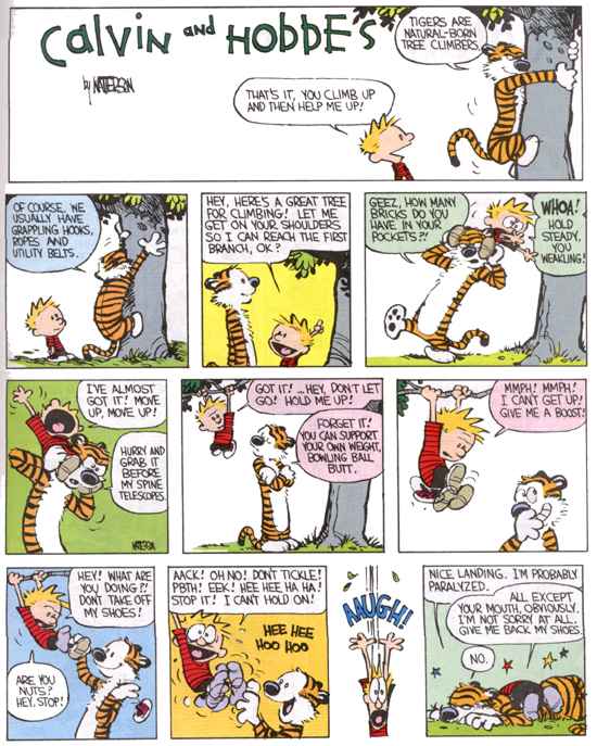 Calvin and Hobbes