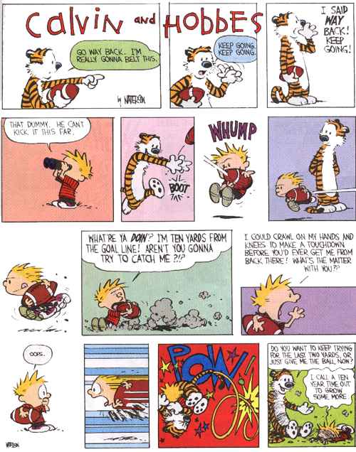 Calvin and Hobbes