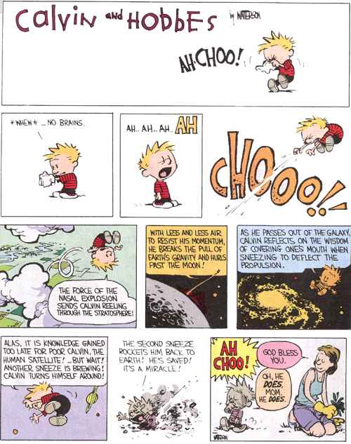 Calvin and Hobbes