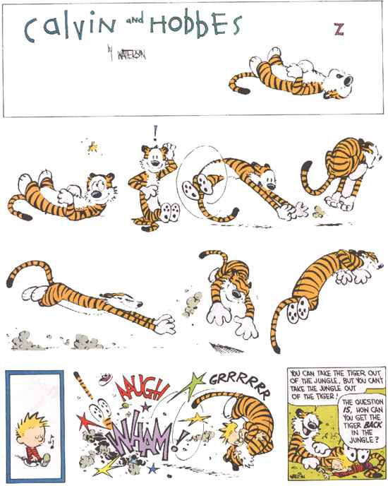 Calvin and Hobbes