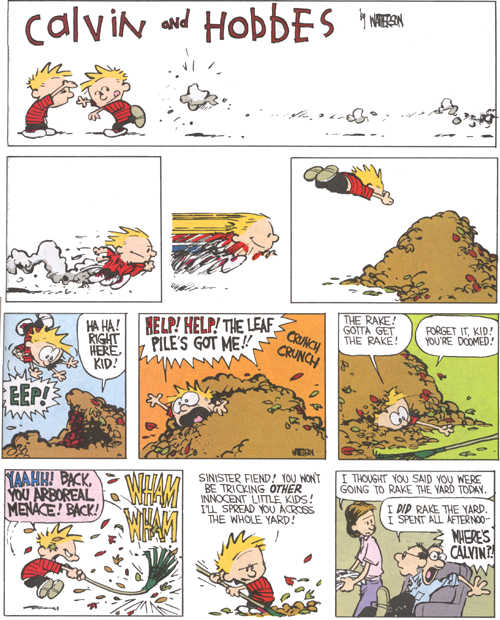 Calvin and Hobbes