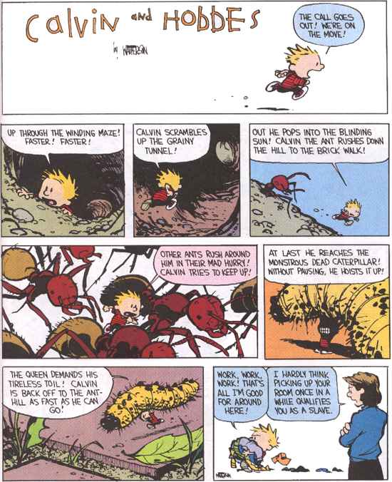 Calvin and Hobbes